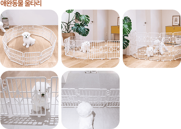 스페이스 에디터 제품 목록